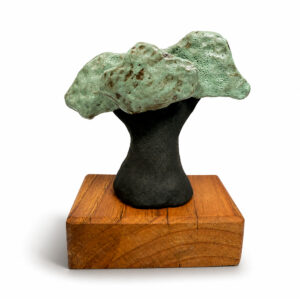 GALVANO ÁRBOL COIHUE_5