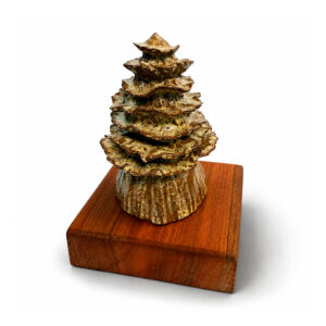 RC-G-90_galvano árbol ulmo_2
